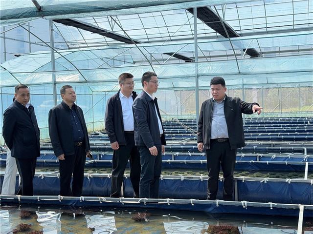江苏淮阴司法 “三精准”赋能新农人种植业稳产发展
