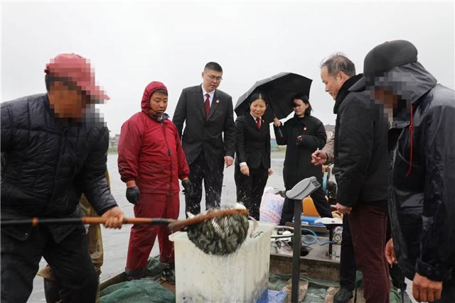 从“电捕者”到“放生人”：同一片水域，两种截然不同的人生选择