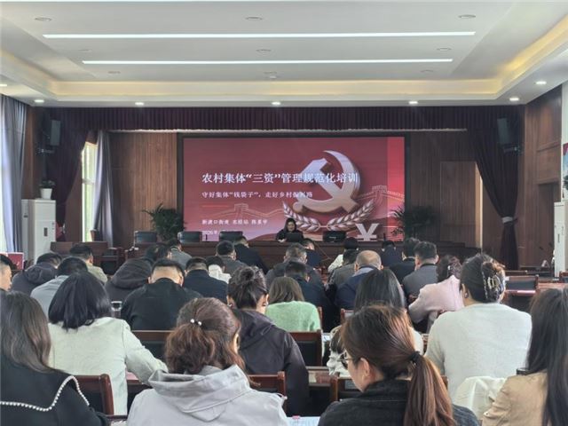 江苏淮安市淮阴区新渡口街道：淬炼村级主力军 激活治理新活力