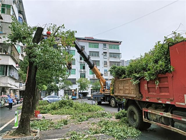 湖北黄冈市生态环境局蕲春县分局积极应对暴雨台风来袭