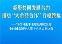 习近平主席赴印度出席金砖国家领导人第十八次会晤前瞻